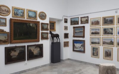 LO SPAZIO DEPOSITO DEL MUSEO ACCORSI-OMETTO